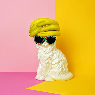 Fashionable Cat with Banana Hat Wall Art