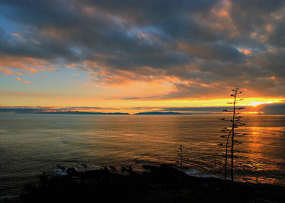 Wall Art featuring the photograph Catalina Island Sunset by Joe Schofield
