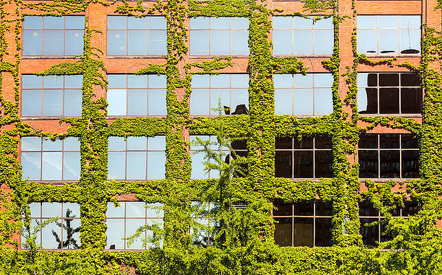 Modern Wall Art featuring the photograph Chicago Office From The River With Brick by Steven Heap