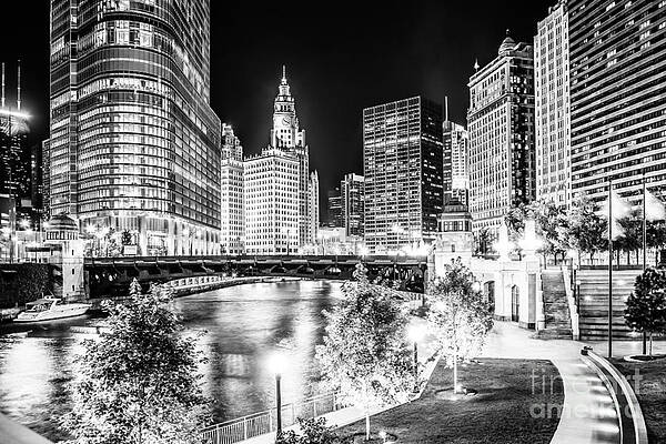 Illinois Wall Art featuring the photograph Chicago River Buildings At Night In Black And White by Paul Velgos