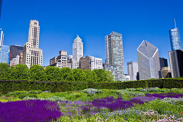 Wall Art featuring the photograph Chicago Skyline by Jonny D