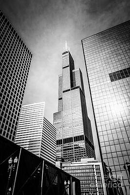 Illinois Wall Art featuring the photograph Chicago Willis-Sears Tower In Black And White by Paul Velgos