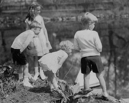 6 Wall Art featuring the photograph Children Playing Beside A Pond by Edward Steichen