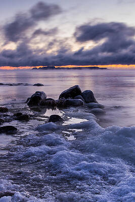 Wall Art featuring the photograph Chilled by Linda Ryma