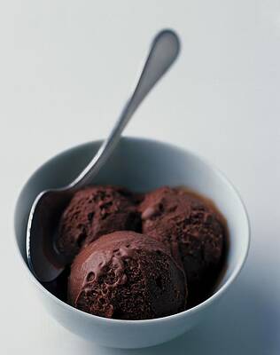 Chocolate Ice Cream in a Bowl Photograph