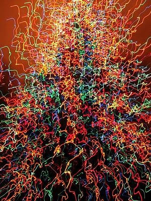 Color Wall Art featuring the photograph Caffeinated Christmas by Rick Locke - Out of the Corner of My Eye