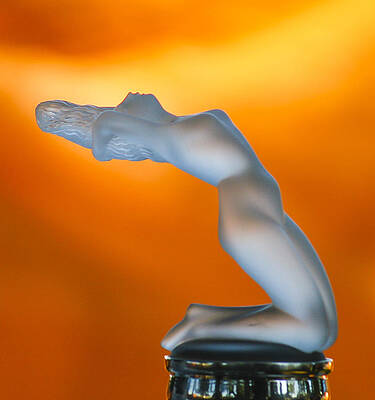 Dramatic Wall Art featuring the photograph Chrysis Ornament by Jean Noren