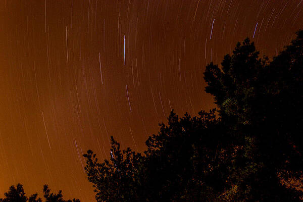 Sky Photograph - Circling Stars by Scott Lyons