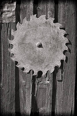 Rustic Wall Art featuring the photograph Circular by Kelley King