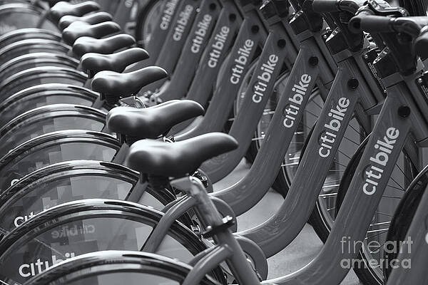 Wall Art featuring the photograph Citi Bike Bicycles II by Clarence Holmes