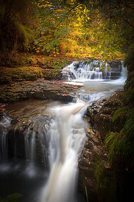 Fall Wall Art featuring the photograph Clare Glens Waterfall.    Irelands Woodland Cascade by Mark Callanan