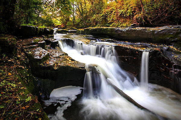 Fall Wall Art featuring the photograph Clare Glens by Mark Callanan