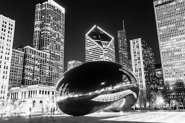 Illinois Wall Art featuring the photograph Cloud Gate Chicago Bean Black And White Picture by Paul Velgos