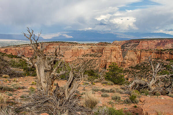 Colorado Photograph - Clouds Above by Jeff Stoddart