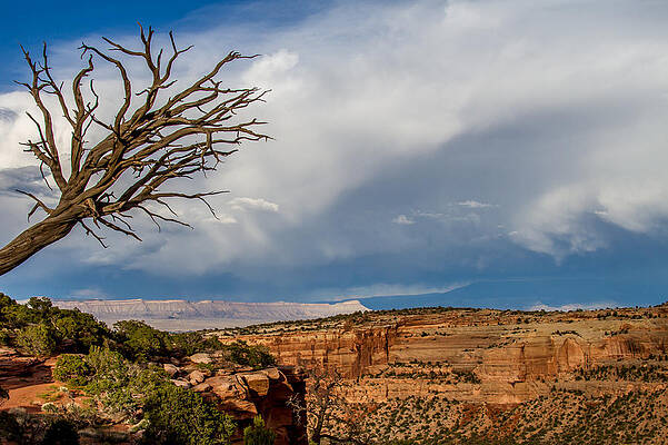 Colorado Photograph - Cloudy Sky by Jeff Stoddart