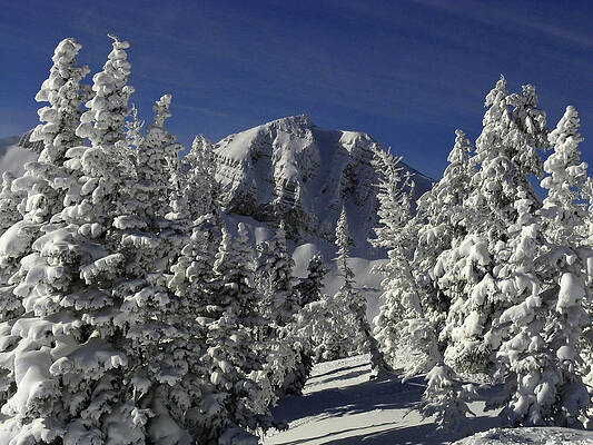 Wyoming Wall Art featuring the photograph Cody Peak After A Snow by Raymond Salani III