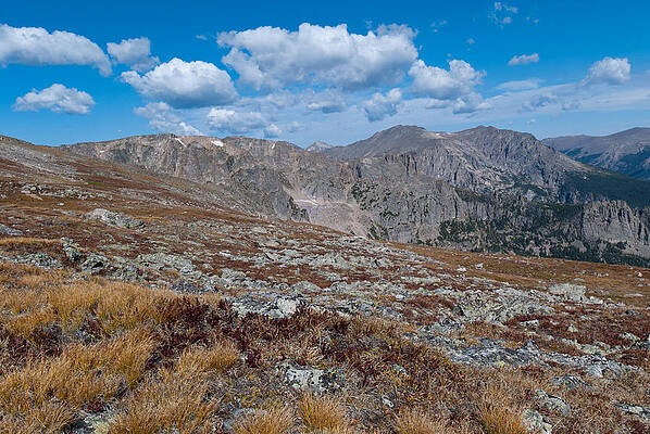 Rocky Mountain National Park Photograph - Colorado Alpine Autumn by Cascade Colors