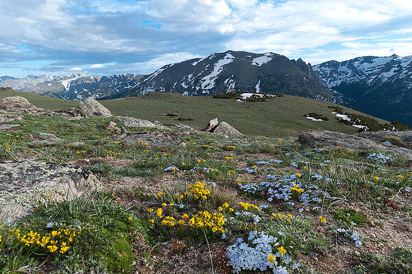 Rocky Mountain National Park Photograph - Colorado Alpine Landscape by Cascade Colors
