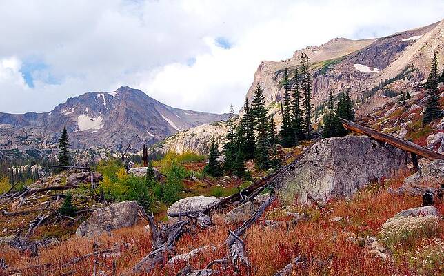Colorado Photograph - Colorado Autumn Color Landscape by Cascade Colors