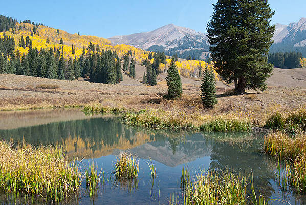 Colorado Photograph - Colorado Autumn Reflection by Cascade Colors