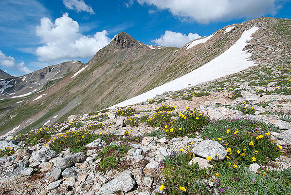 Colorado Photograph - Colorado Elkhead Pass by Cascade Colors