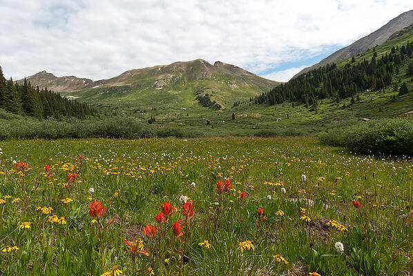 Sky Wall Art featuring the photograph Colorado Meadow And Mountain Landscape by Cascade Colors