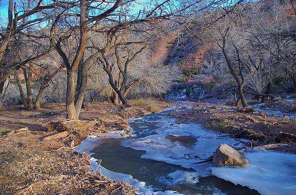 Colorado Photograph - Colorado Western Slope Canyon Floor by Cascade Colors