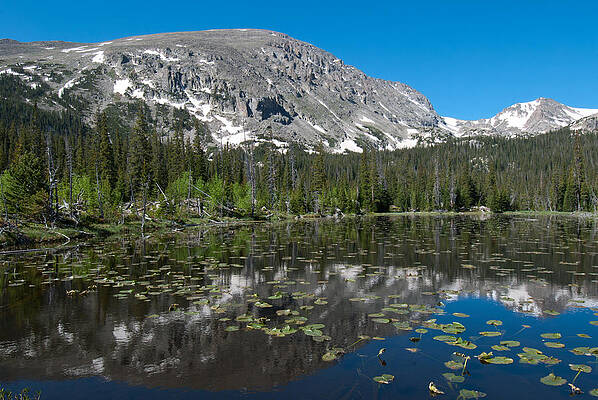 Colorado Photograph - Colorado Wild Basin Landscape by Cascade Colors