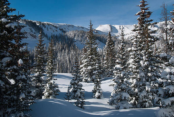 Colorado Photograph - Colorado Winter Landscape by Cascade Colors