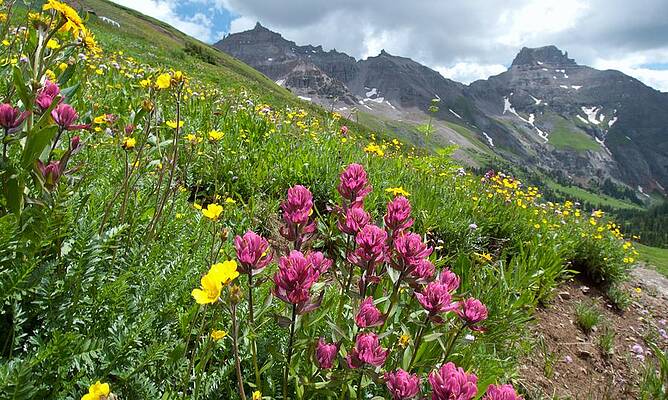 Colorado Photograph - Colorful Colorado Summer Landscape by Cascade Colors