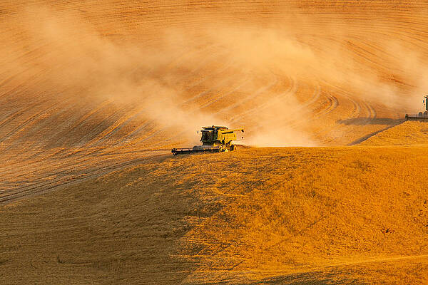 Washington Photograph - Coming Into View by Mary Jo Allen