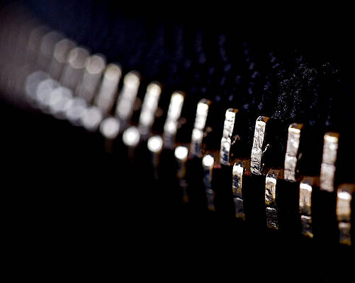 Wall Art featuring the photograph Coming Together by Rona Black