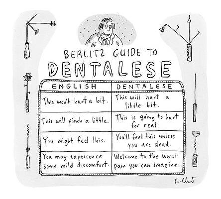 Berlitz Guide to Dentalese Drawing