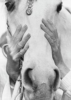 Hands Covering Horse's Face Photograph