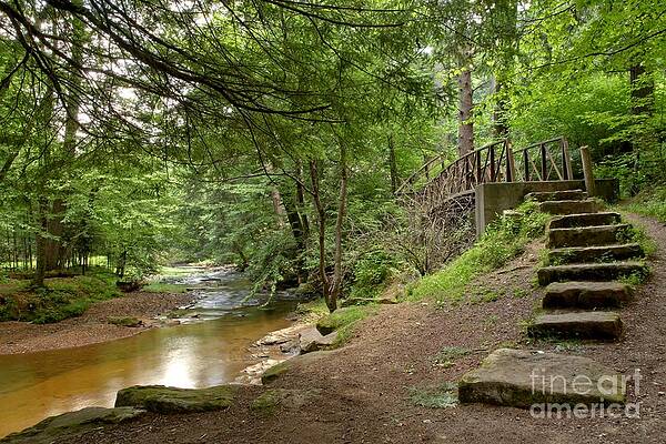 Tranquil Forest Stream Bridge Wall Art