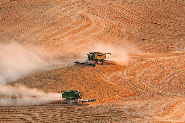 Summer Photograph - Cooperation by Mary Jo Allen