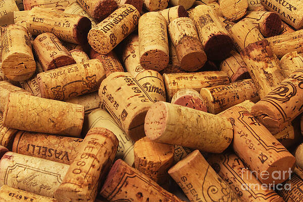 Photograph - Corks by Stefano Senise