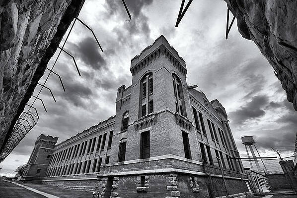 Montana Wall Art featuring the photograph Cornered by Ghostwinds Photography