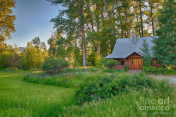 Washington Wall Art featuring the digital art Cottonwood Cottage With Spring Lupine by Omaste Witkowski
