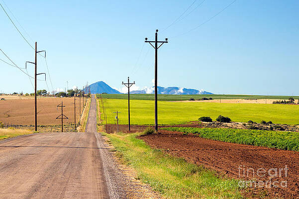 Country Wall Art featuring the photograph Country Lane by Nicholas Blackwell