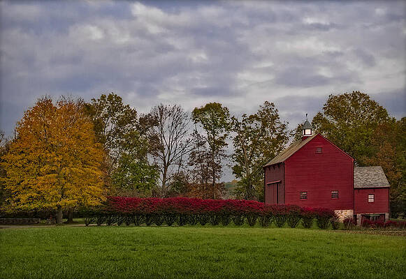 Country Photograph - Country Life by Susan Candelario