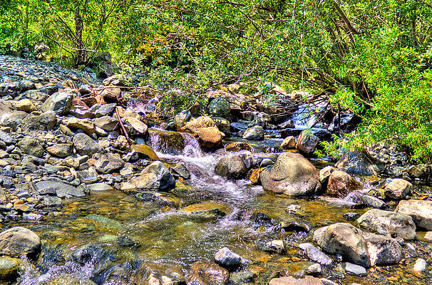 Water Photograph - County Stream by Jonny D