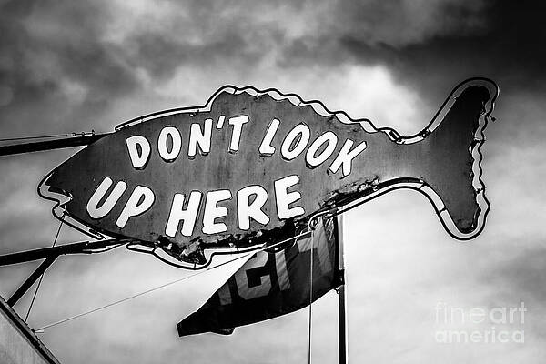 California Wall Art featuring the photograph Crab Cooker Sign Newport Beach Picture by Paul Velgos