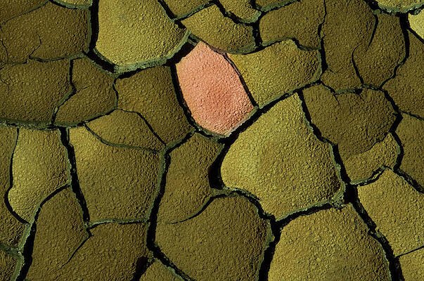 Wall Art featuring the photograph Cracked, Dry Earth, Fertile Soil And by Paolo Negri