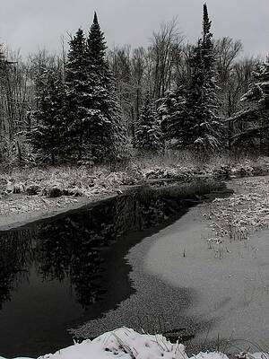 Reflection Photograph - Creek Reflections by Dale Kauzlaric