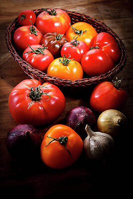 Wall Art featuring the photograph Crop Tomatoes by Letty17