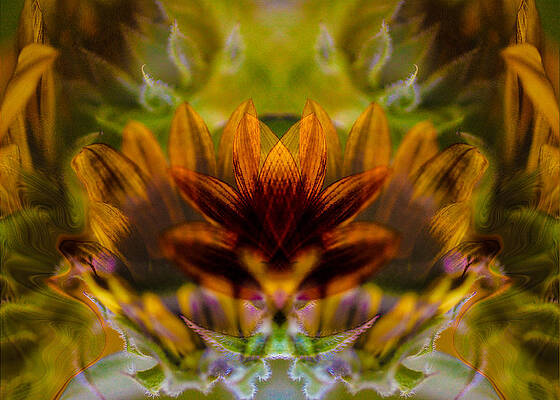 Wall Art featuring the painting Crowned by Omaste Witkowski