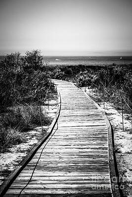 California Wall Art featuring the photograph Crystal Cove Wooden Walkway In Black And White by Paul Velgos