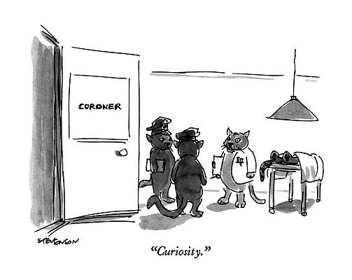 Cats as Coroners in Humorous Scene Drawing