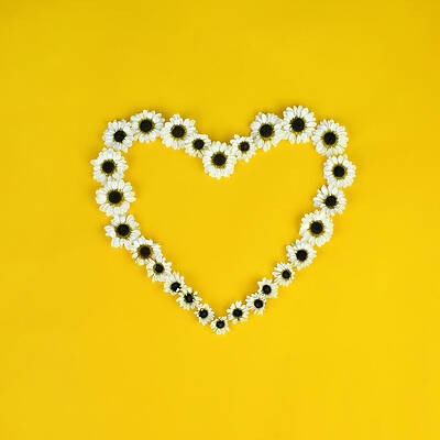 Heart-Shaped Daisy Arrangement Wall Art